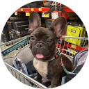 David Wagner profile picture