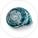 Kirsten Woodforth profile picture